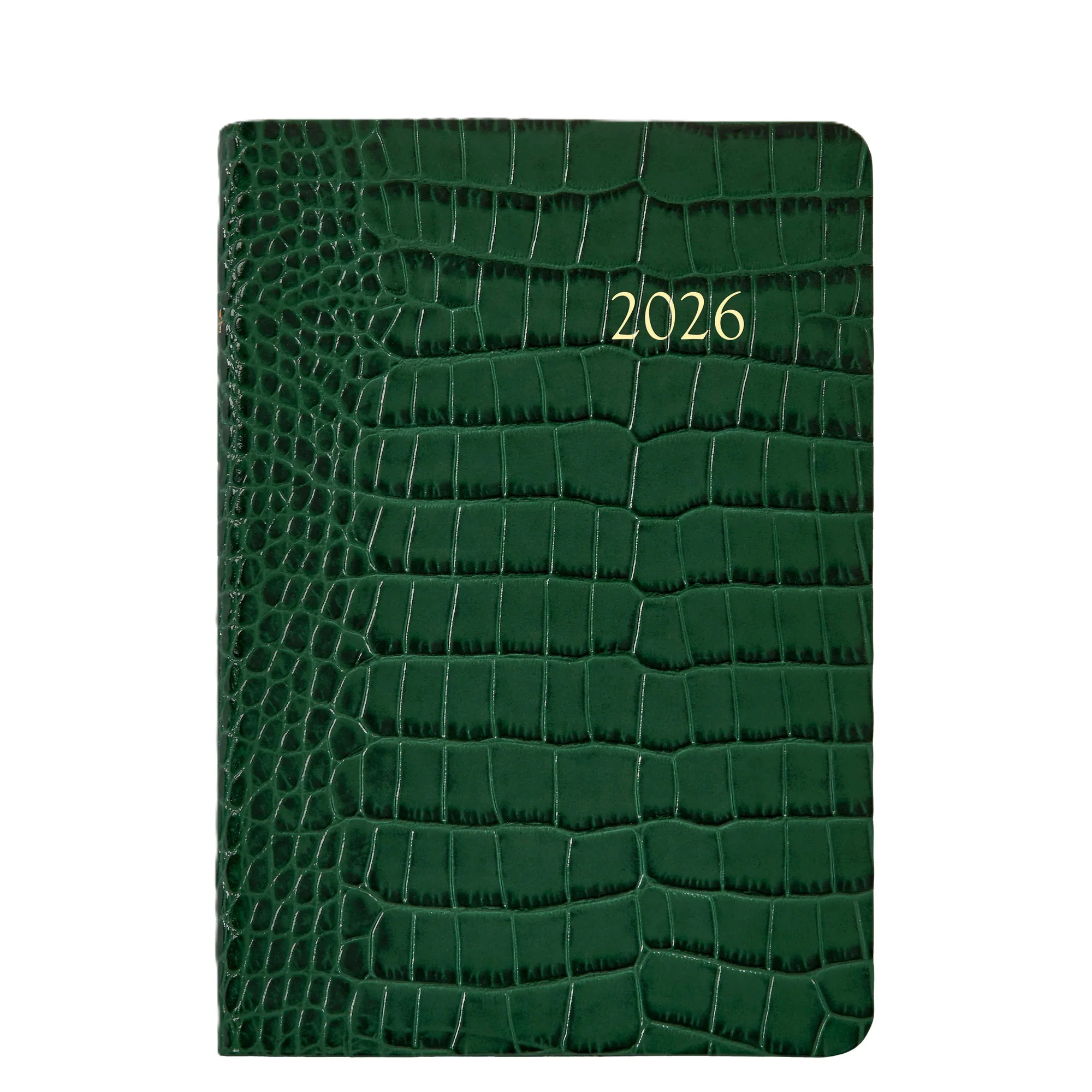 Graphic Image 2026 Daily Journal Embossed Croc Leather