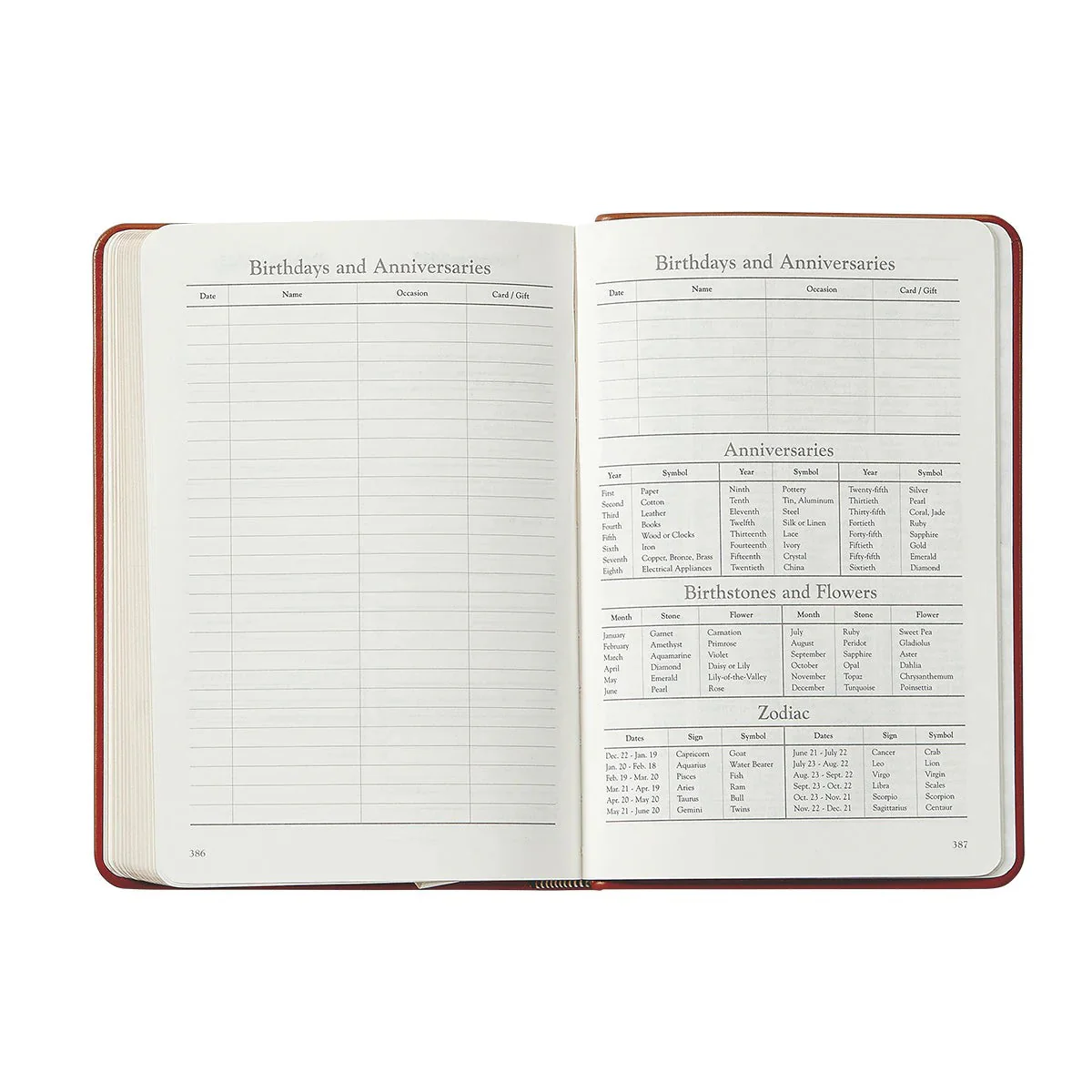 Graphic Image 2026 Daily Journal Embossed Croc Leather - Image 12