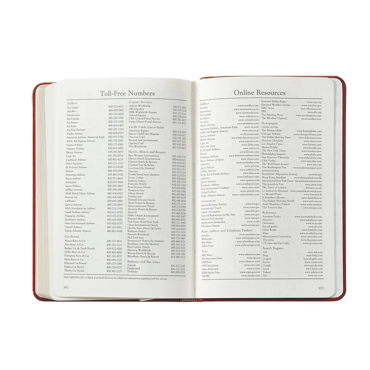 Graphic Image 2026 Daily Journal Embossed Croc Leather - Image 13