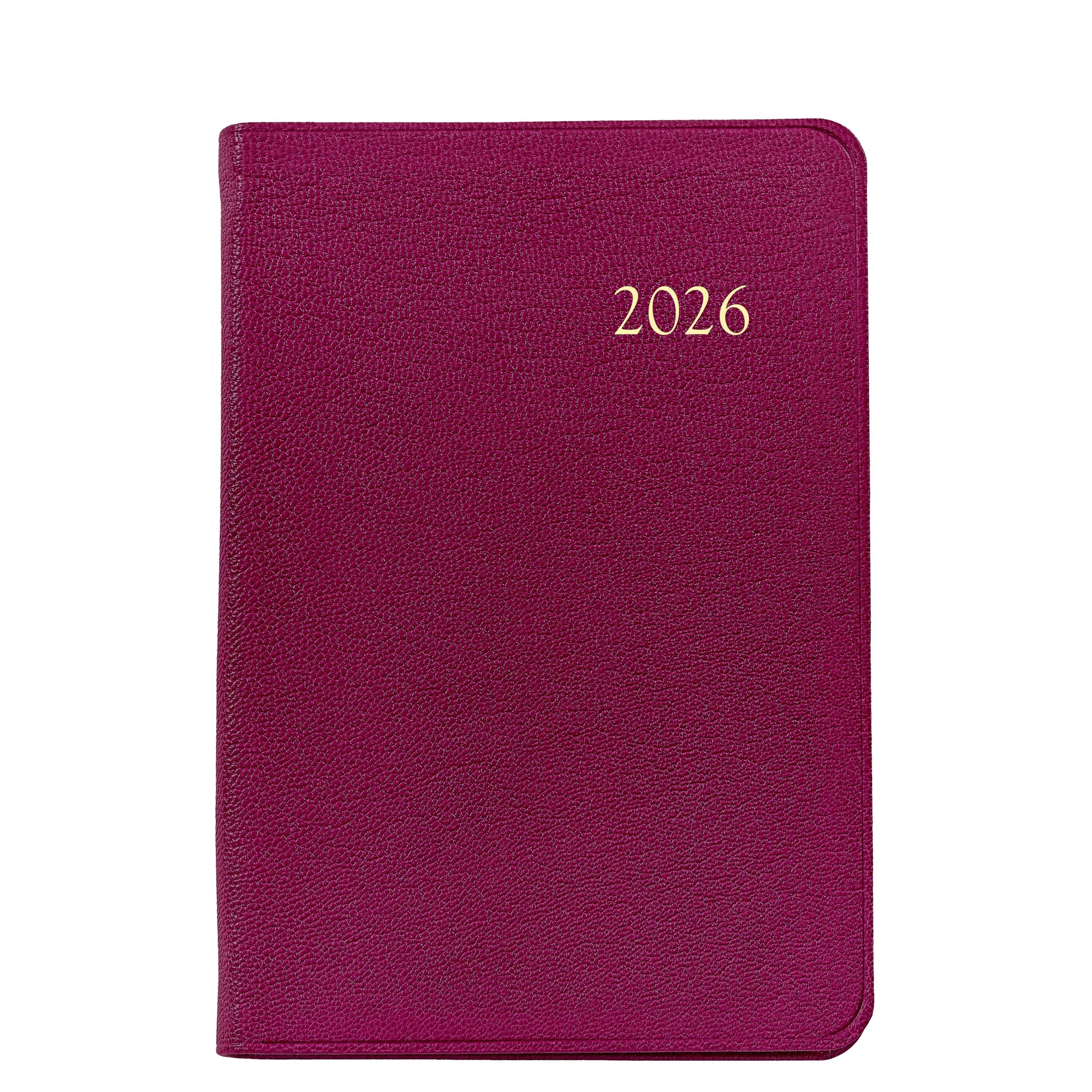 Graphic Image 2026 Daily Journal Goatskin Leather - Image 13