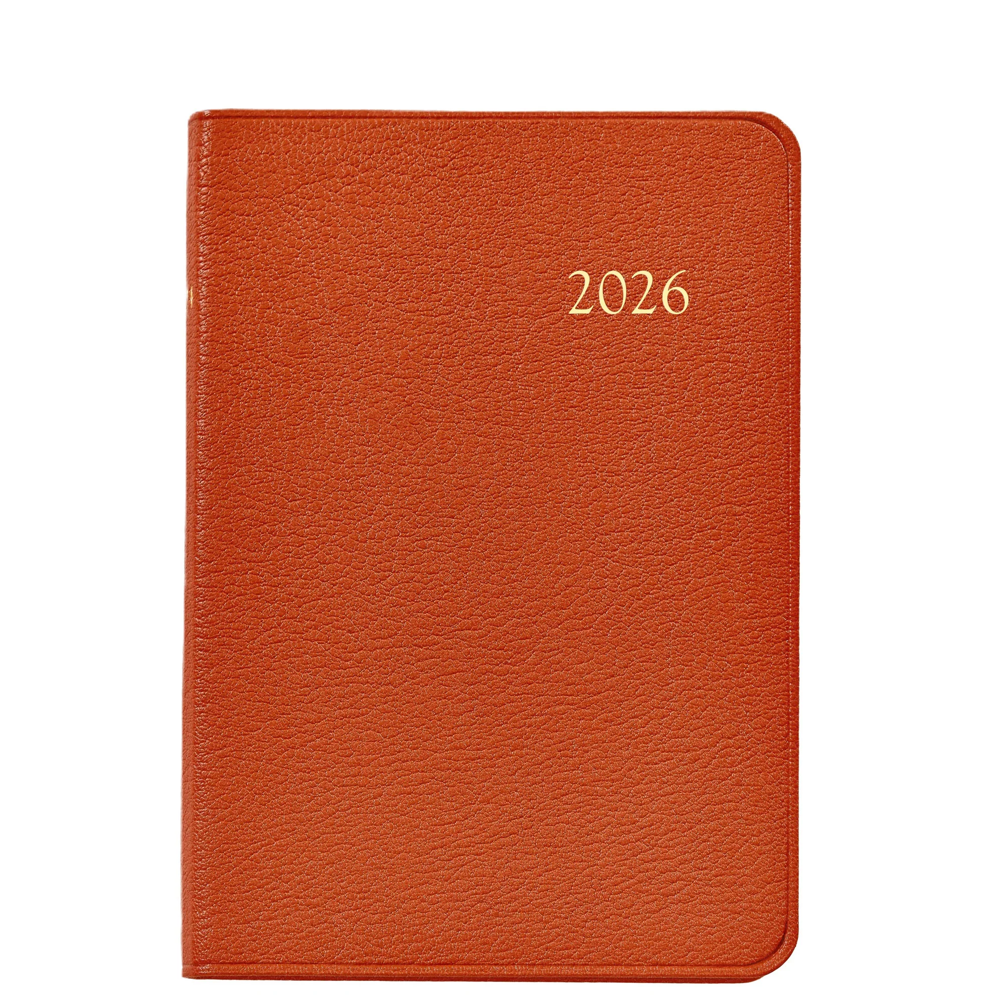 Graphic Image 2026 Daily Journal Goatskin Leather - Image 9