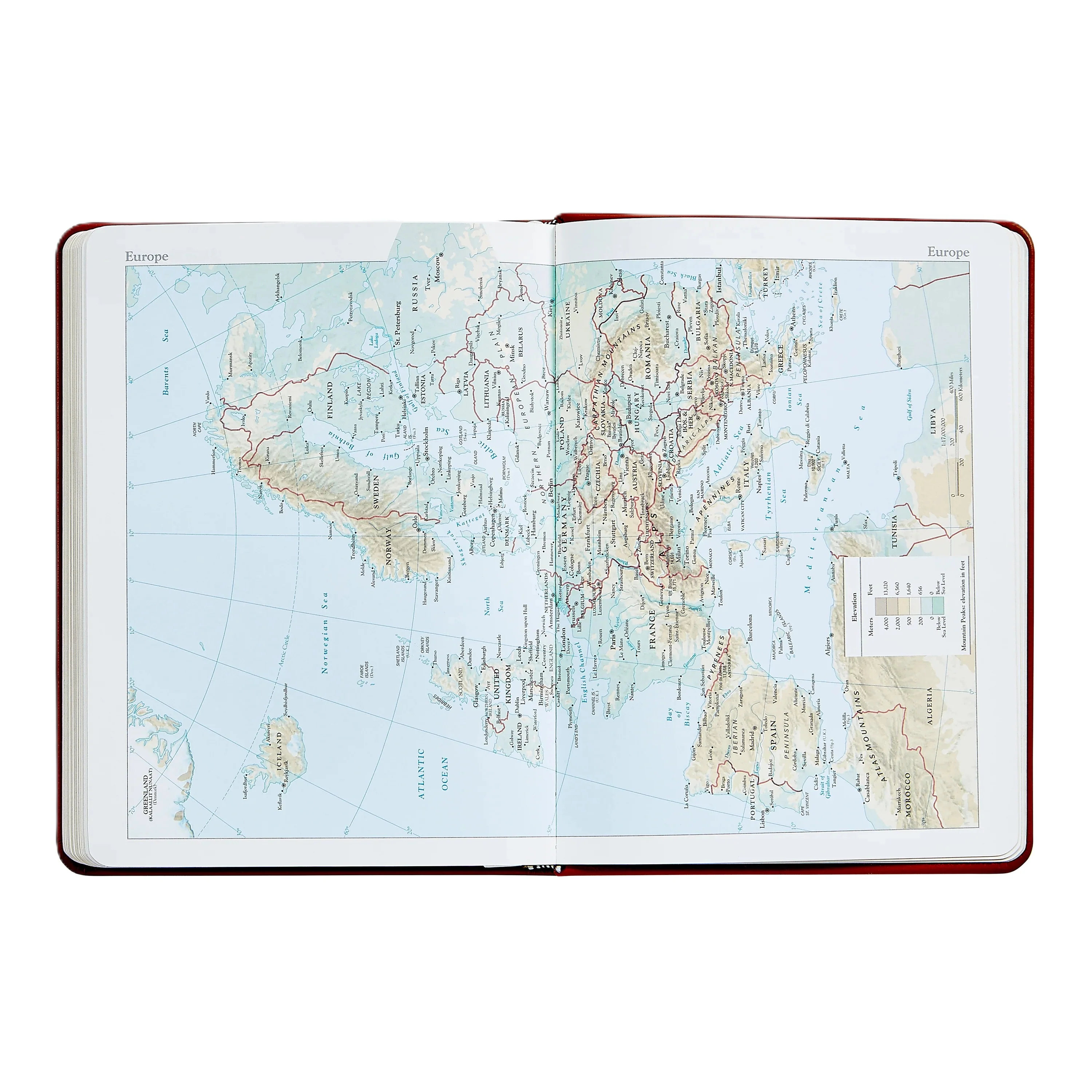 Graphic Image 2026 Desk Diary Goatskin Leather - Image 9