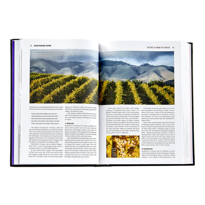 Graphic Image The Wine Bible Burgundy Traditional Leather - Image 2