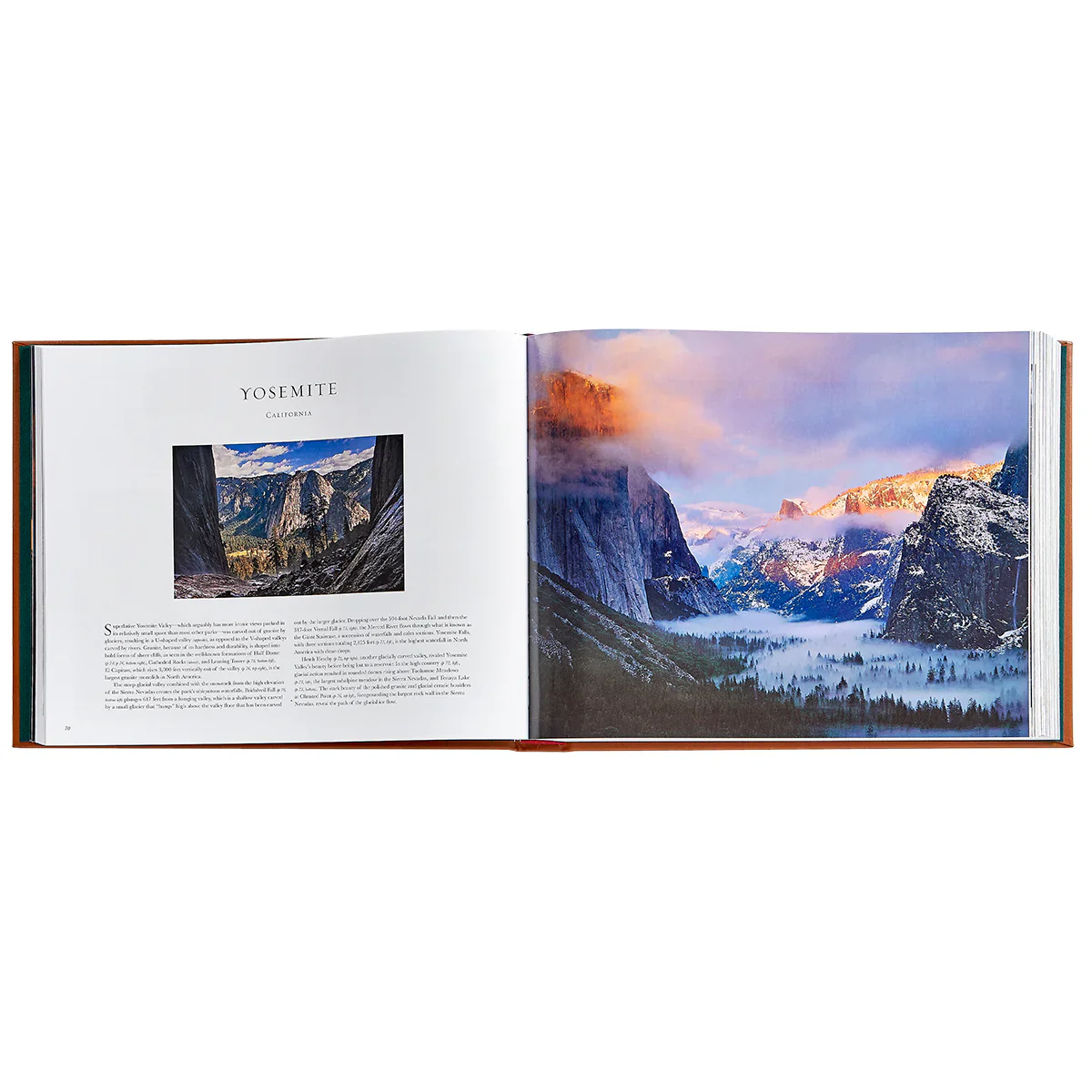 Graphic Image Treasured Lands Tan Bonded Leather - Image 2