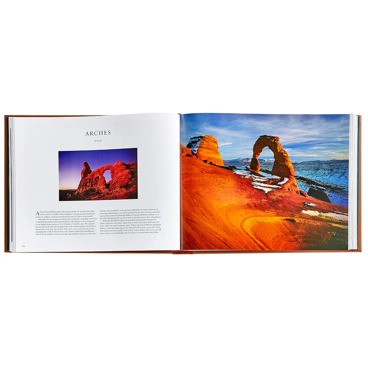 Graphic Image Treasured Lands Tan Bonded Leather - Image 3