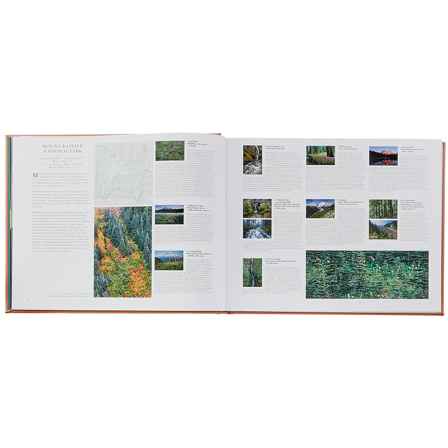 Graphic Image Treasured Lands Tan Bonded Leather - Image 4