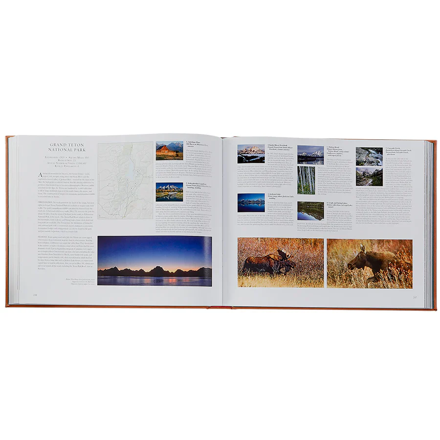 Graphic Image Treasured Lands Tan Bonded Leather - Image 5