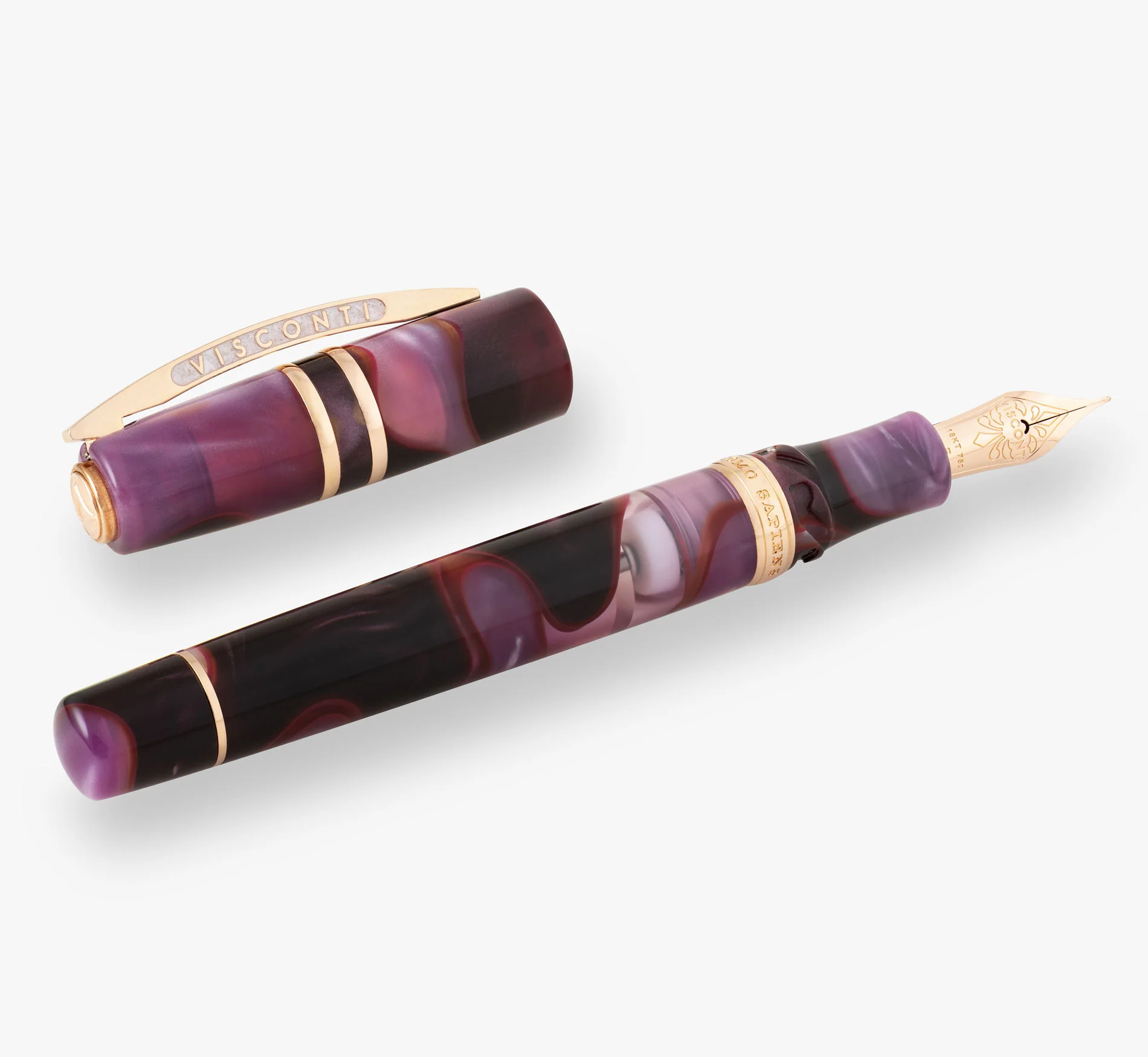 Visconti Homo Sapiens Iris Garden Limited Edition Fountain Pen - Image 7